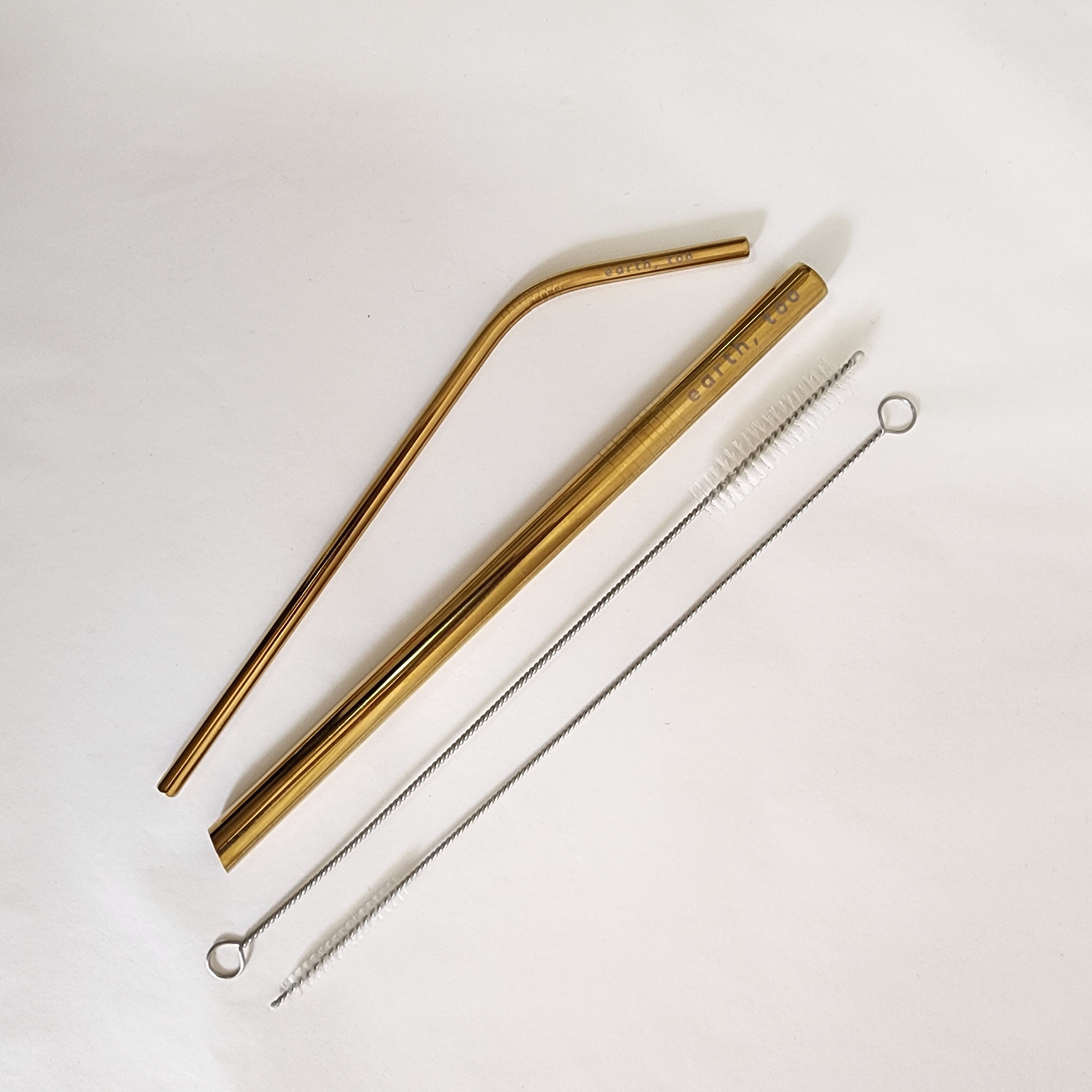 Sustainability Starter Steel Straw Set