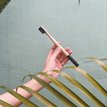 Bamboo Toothbrush - Adult Lifestyle Earth, Too